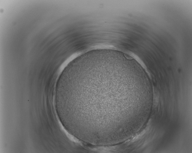 X0000063481245200601271647