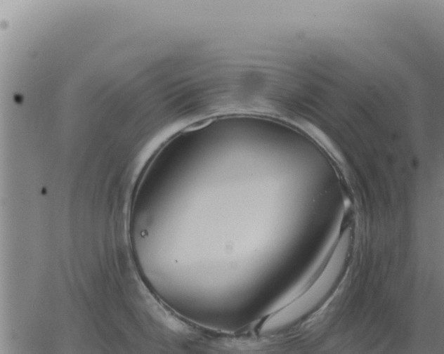 X0000063481246200601271647