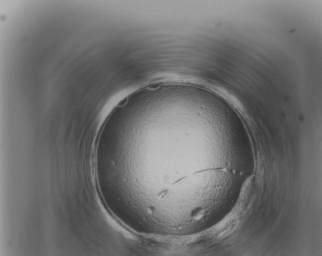 X0000063481247200601271647