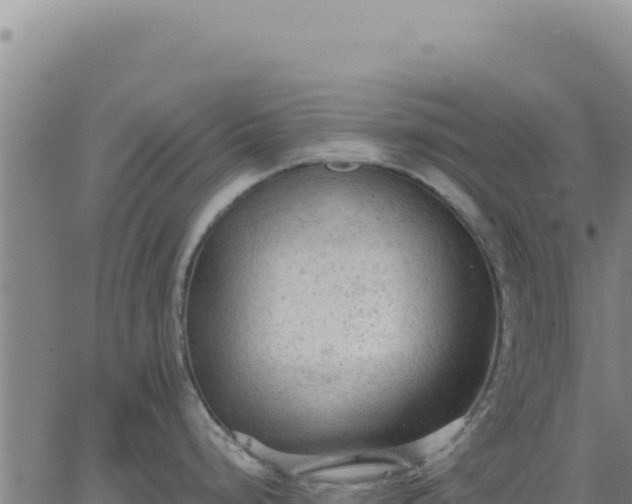 X0000063481248200601271647