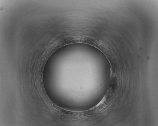 X0000063481249200601271646