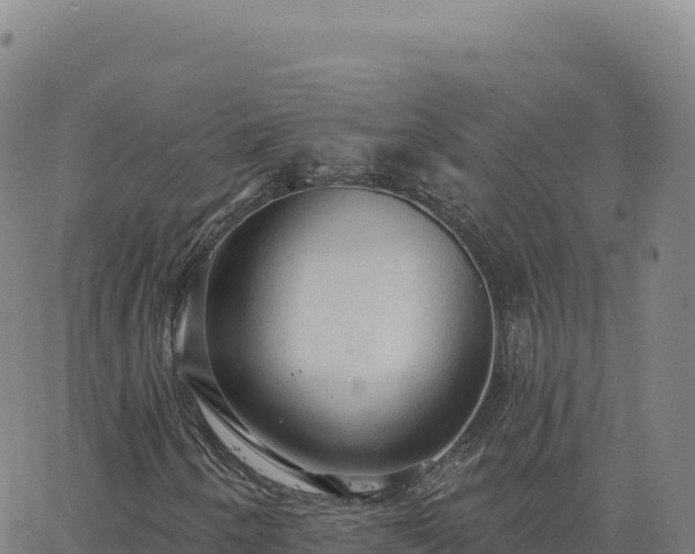 X0000063481250200601271646