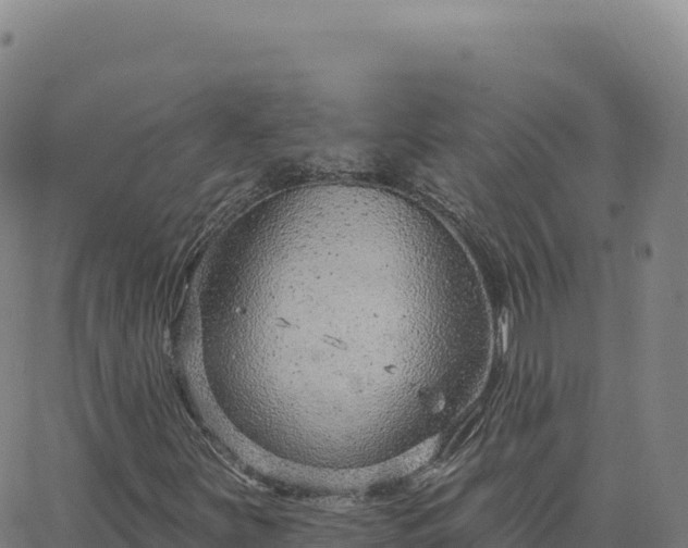 X0000063481251200601271646