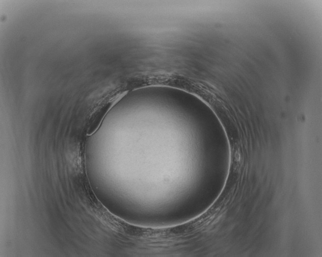 X0000063481252200601271646