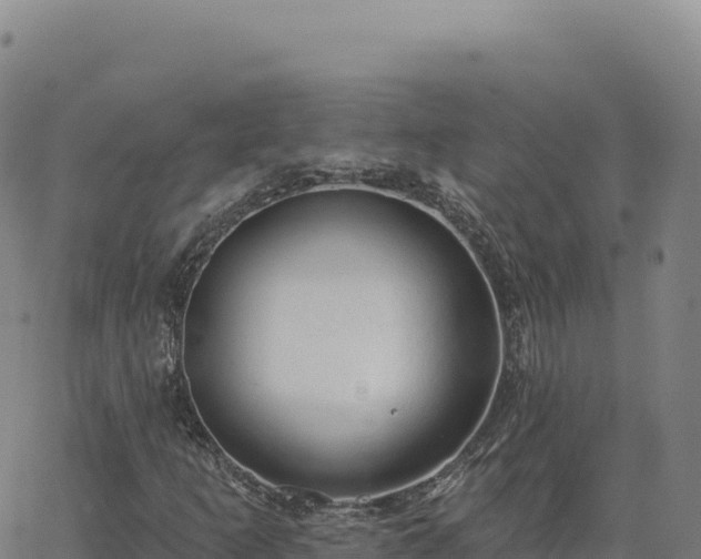 X0000063481253200601271646