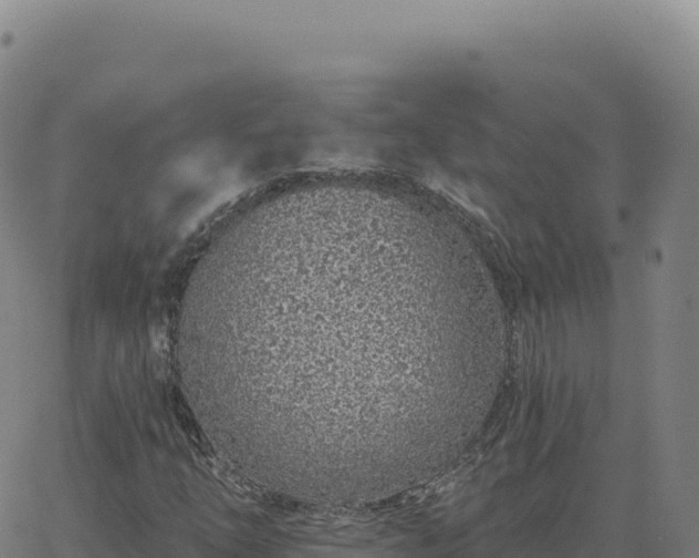 X0000063481254200601271646