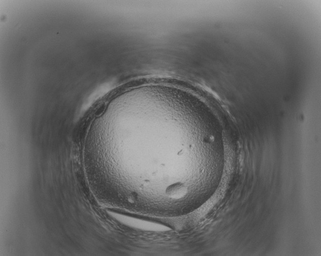 X0000063481255200601271646