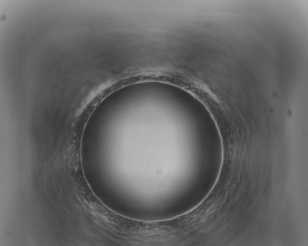 X0000063481256200601271646