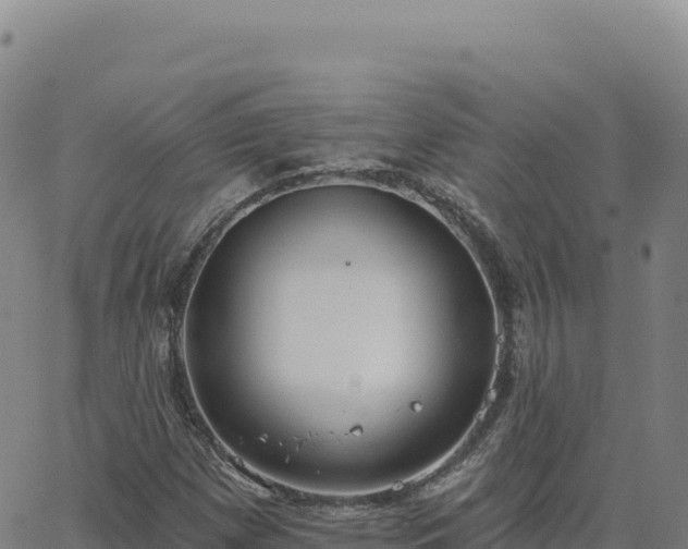 X0000063481257200601271646