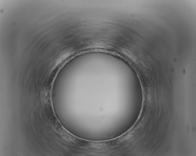 X0000063481258200601271646