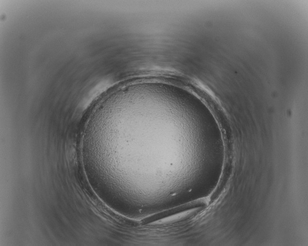 X0000063481259200601271646