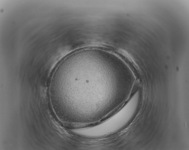 X0000063481260200601271646