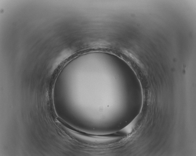 X0000063481261200601271646