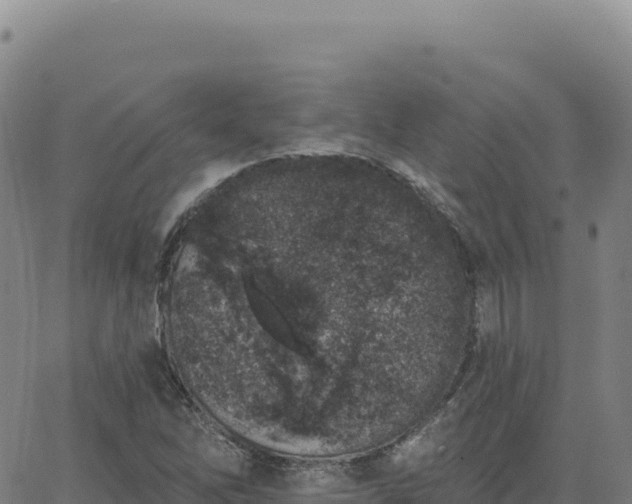 X0000063481262200601271646