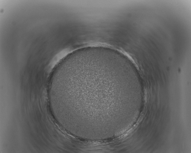 X0000063481263200601271646