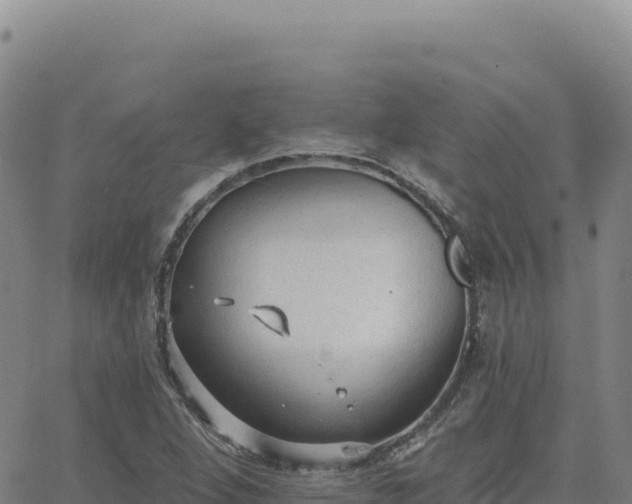 X0000063481264200601271646