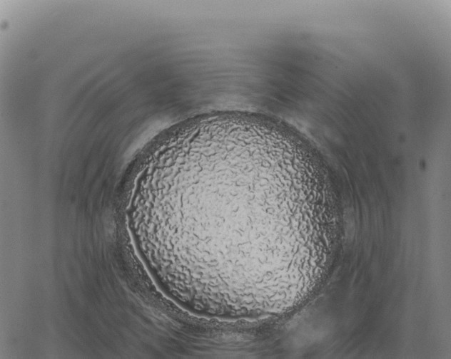 X0000063481266200601271646