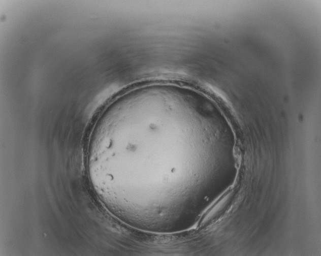 X0000063481267200601271646