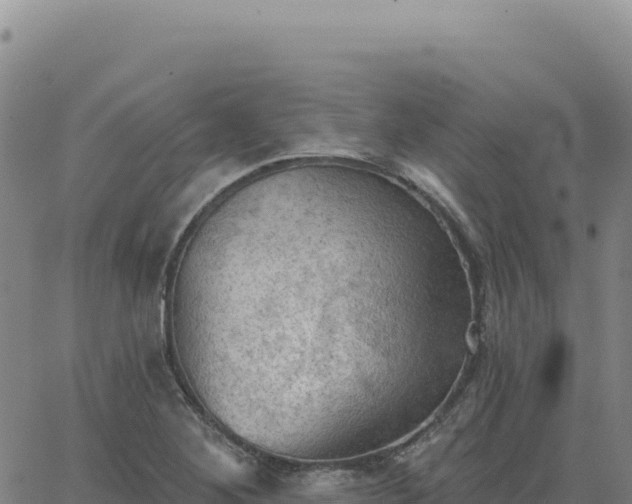 X0000063481268200601271646