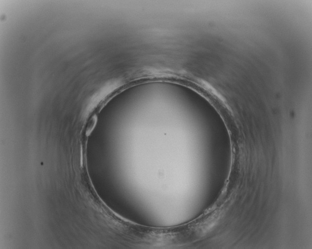 X0000063481269200601271646