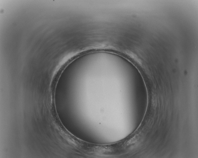 X0000063481270200601271646