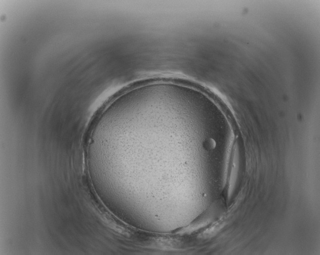 X0000063481271200601271645