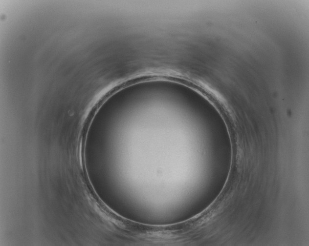 X0000063481272200601271645