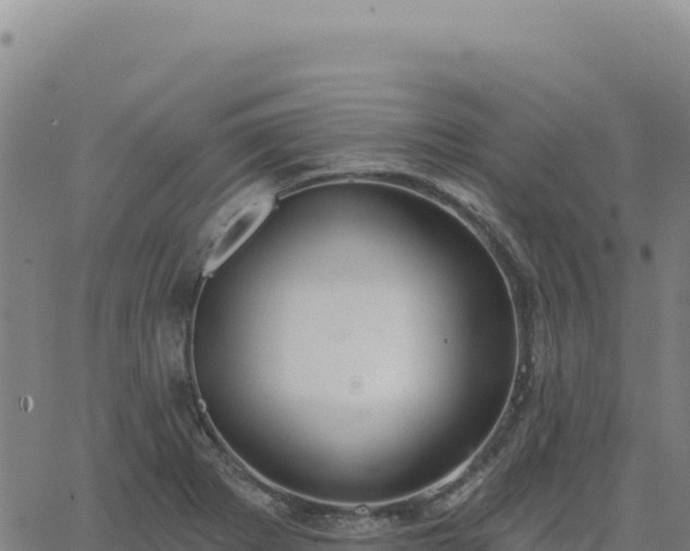 X0000063481273200601271645