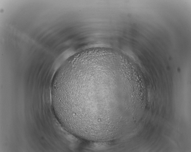 X0000063481274200601271645