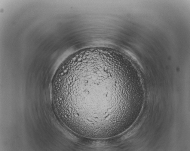 X0000063481275200601271645