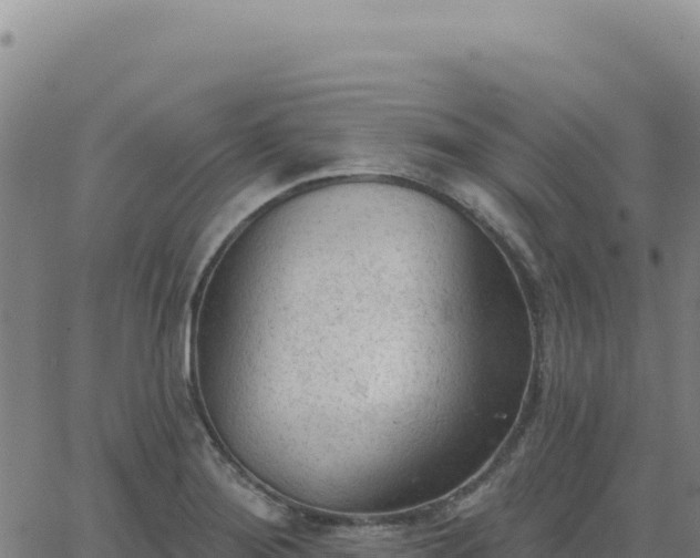 X0000063481276200601271645