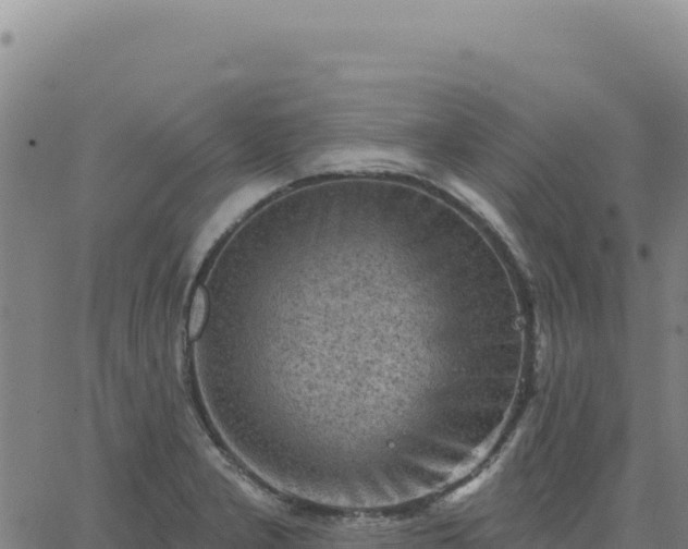 X0000063481277200601271645