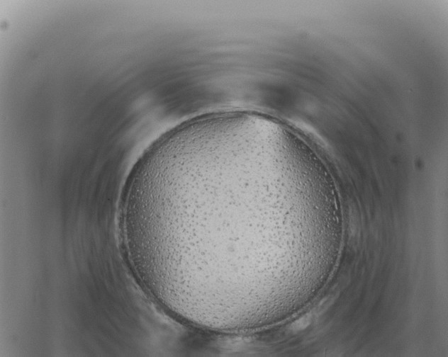 X0000063481278200601271645