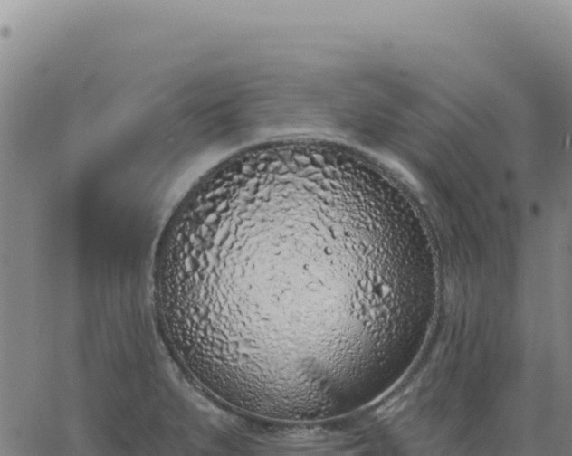 X0000063481279200601271645