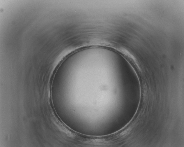 X0000063481280200601271645