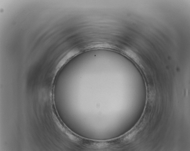 X0000063481282200601271645