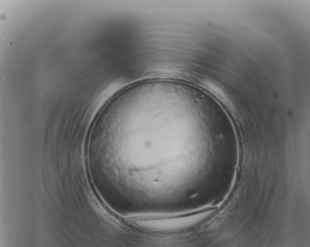 X0000063481283200601271645