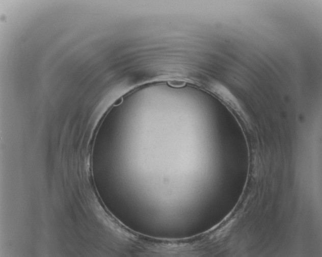 X0000063481284200601271645