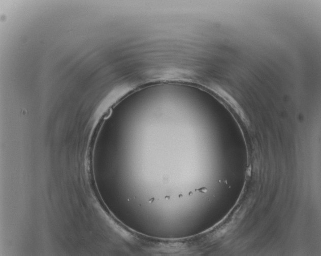 X0000063481285200601271645