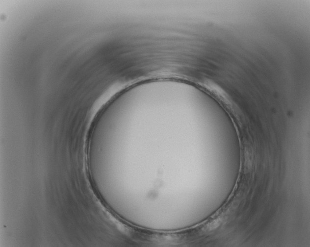 X0000063481286200601271645