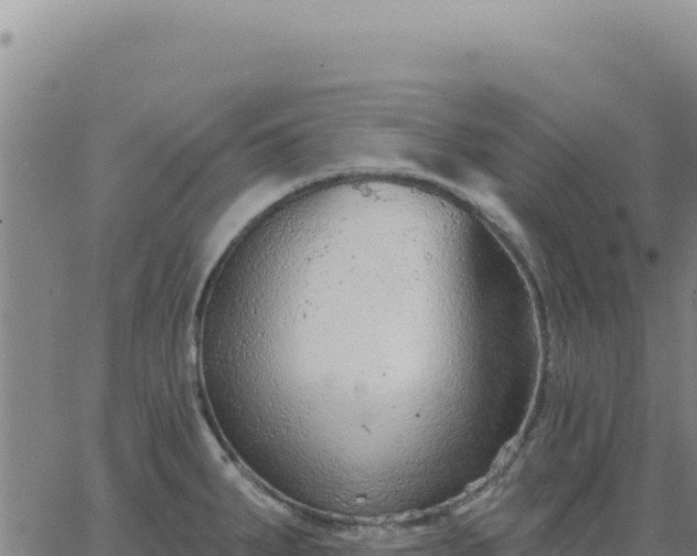 X0000063481287200601271645