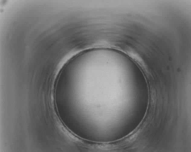 X0000063481288200601271645