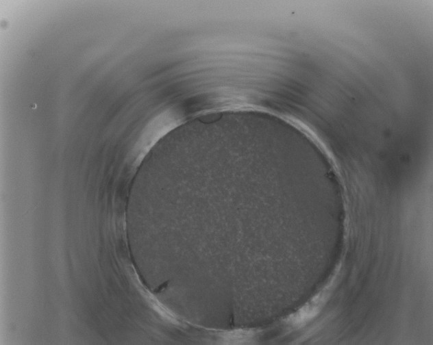 X0000063481289200601271645