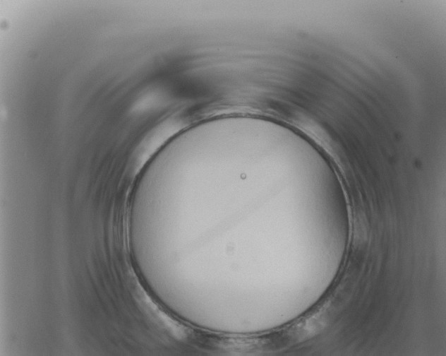 X0000063481290200601271645