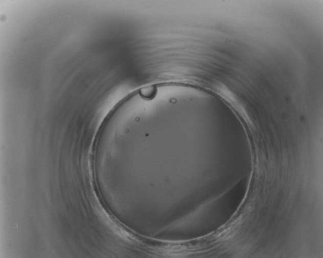 X0000063481291200601271645