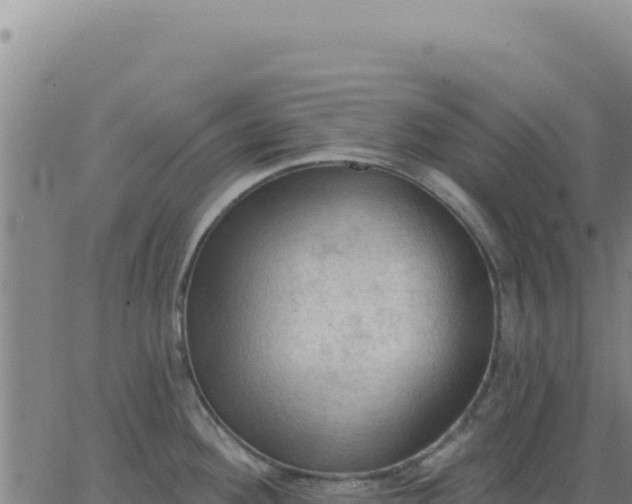 X0000063481292200601271645