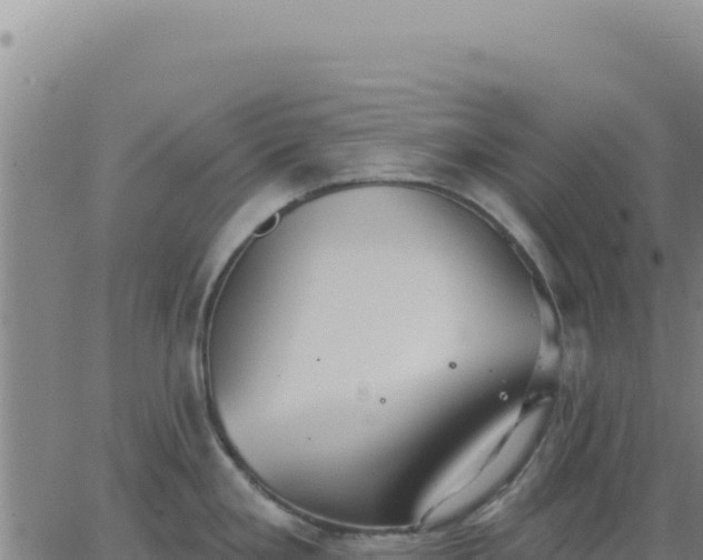 X0000063481293200601271645