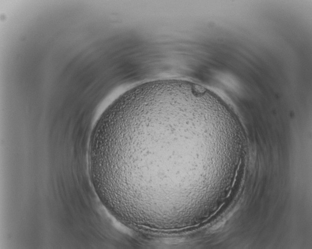 X0000063481294200601271645