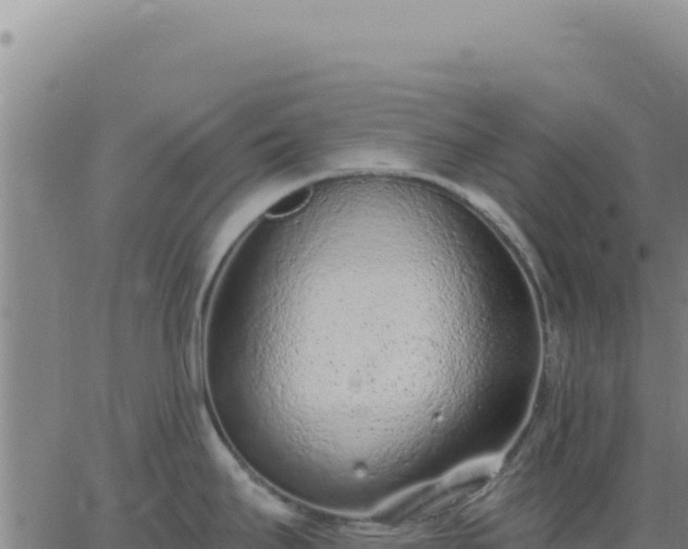 X0000063481295200601271645