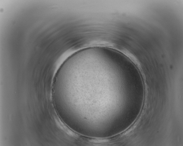 X0000063481296200601271645